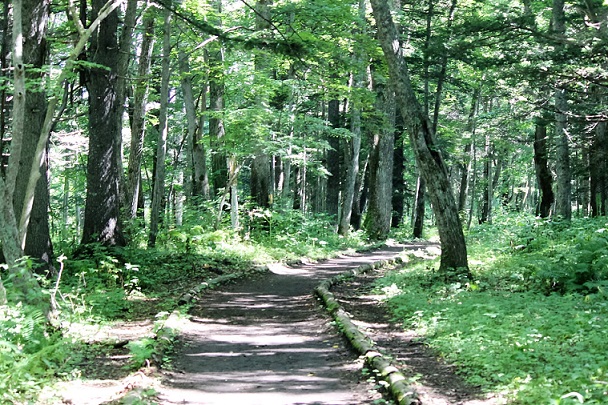Ass bh Absay Bokke Nature Sightseeing Trail - UU Spot - for sightseeing information in  Hokkaido